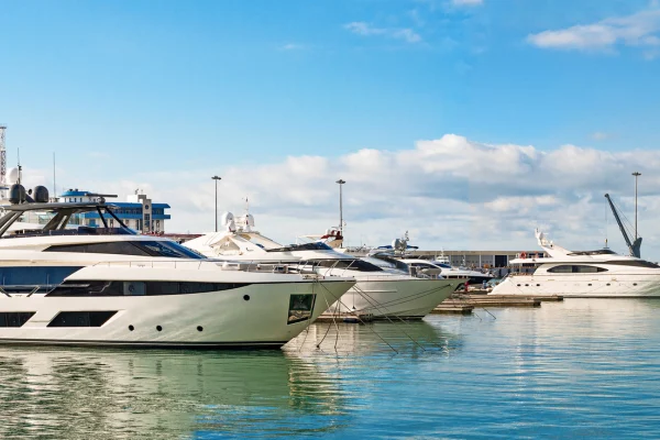 Yachts in a harbour